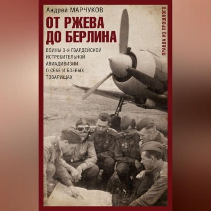 Скачать книгу От Ржева до Берлина. Воины 3-й гвардейской истребительной авиадивизии о себе и боевых товарищах