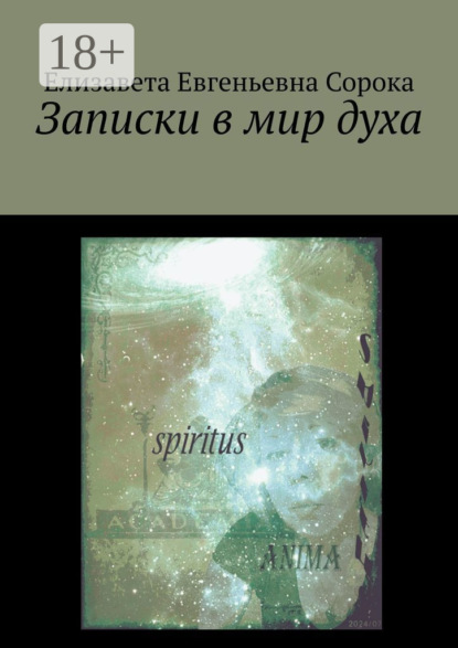 Скачать книгу Записки в мир духа