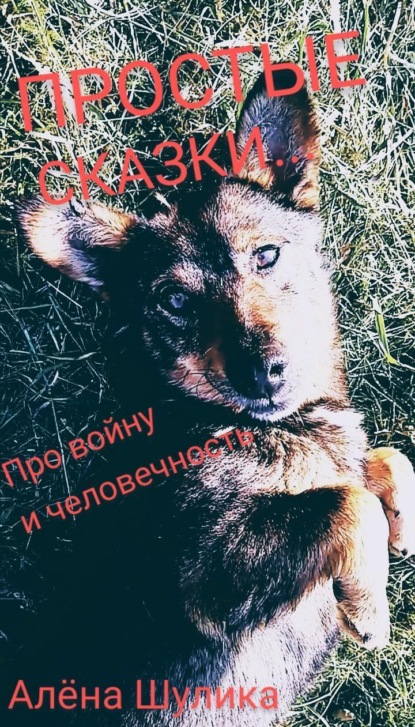 Скачать книгу Я РУССКИЙ, МОЯ НАЦИОНАЛЬНОСТЬ – ЧЕЛОВЕК. (ПРОСТЫЕ СКАЗКИ)