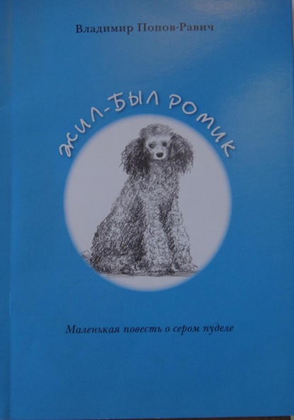 Скачать книгу Жил-был Ромик
