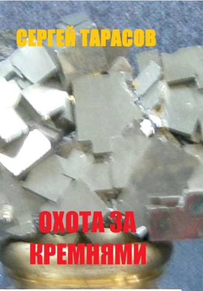 Скачать книгу Охота за кремнями