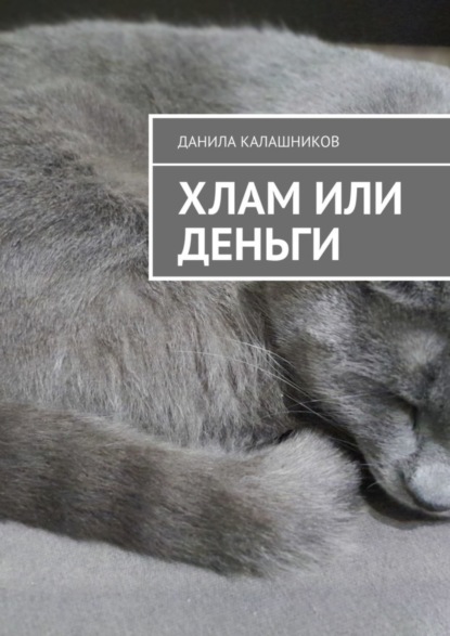 Скачать книгу Хлам или деньги