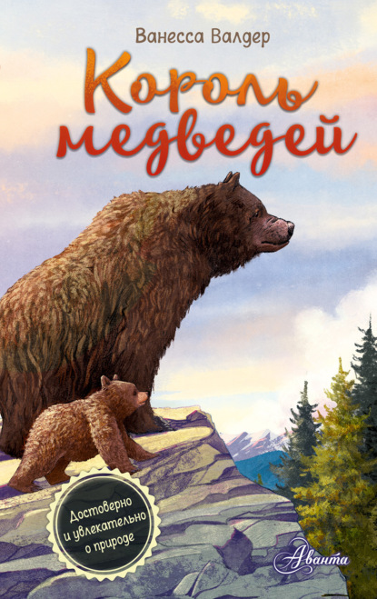 Скачать книгу Король медведей