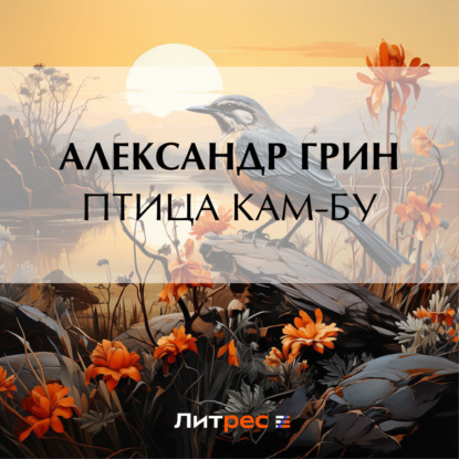 Скачать книгу Птица Кам-Бу