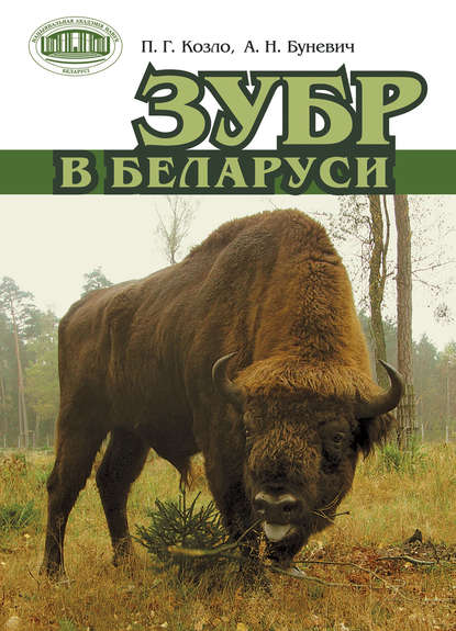 Скачать книгу Зубр в Беларуси