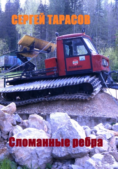 Скачать книгу Сломанные ребра