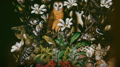 Скачать книгу The beauty of wildlife — and an artistic call to protect it | Isabella Kirkland