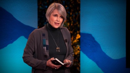 Скачать книгу A meditation on Rumi and the power of poetry | Leili Anvar