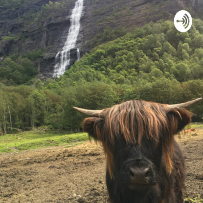 Скачать книгу Глухой, слепой и безногий