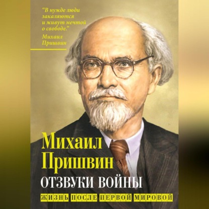 Скачать книгу Отзвуки войны. Жизнь после Первой мировой