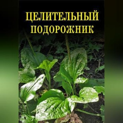 Скачать книгу Целительный подорожник