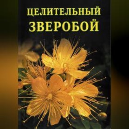 Скачать книгу Целительный зверобой