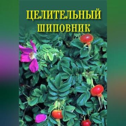 Целительный шиповник