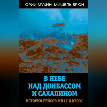 Скачать книгу В небе над Донбассом и Сахалином. История рейсов МН17 и КЕ007