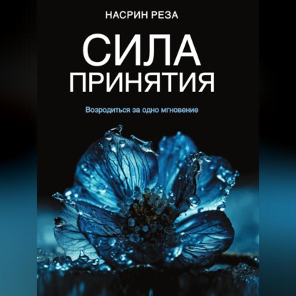 Скачать книгу Сила принятия. Возродиться за одно мгновение