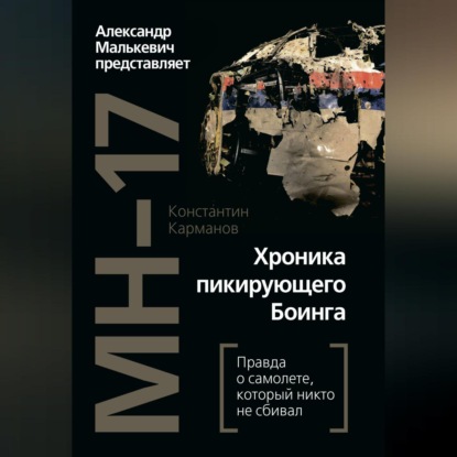 Скачать книгу MH-17. Хроника пикирующего Боинга. Правда о самолете, который никто не сбивал