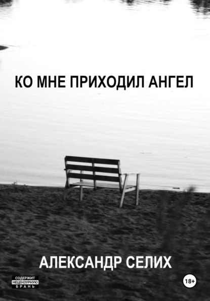 Скачать книгу Ко мне приходил ангел