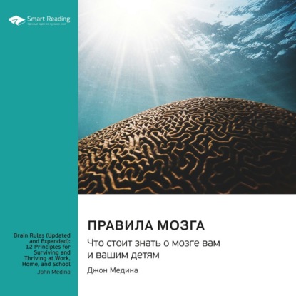 Скачать книгу Правила мозга. Что стоит знать о мозге вам и вашим детям. Джон Медина. Саммари