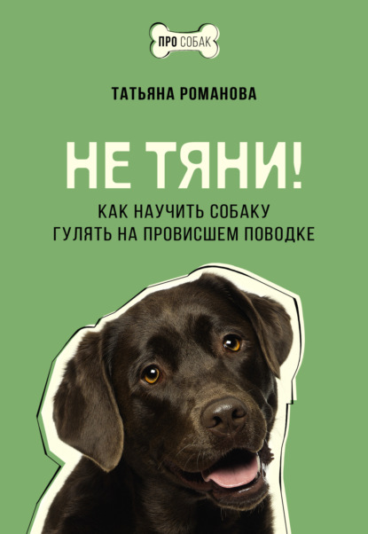 Скачать книгу Не тяни! Как научить собаку гулять на провисшем поводке