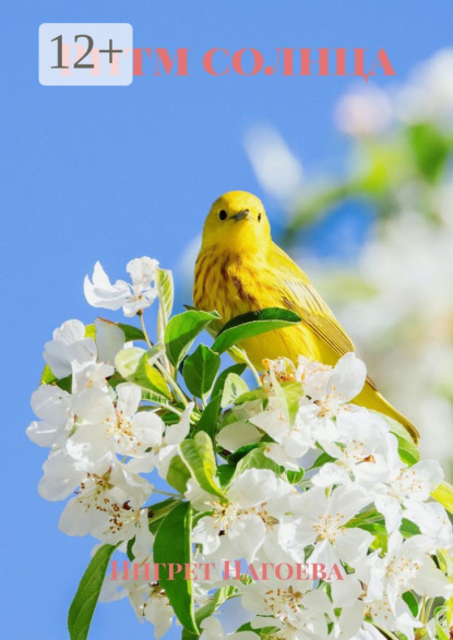 Скачать книгу Ритм солнца