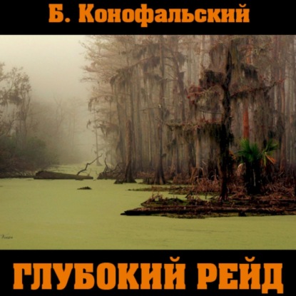 Скачать книгу Глубокий рейд