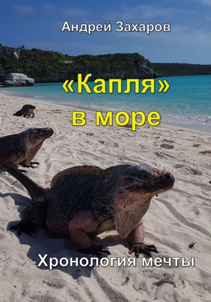 Скачать книгу Капля в море