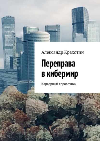 Скачать книгу Переправа в кибермир. Примерный карьерный справочник