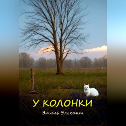 Скачать книгу У колонки