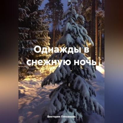Скачать книгу Однажды в снежную ночь