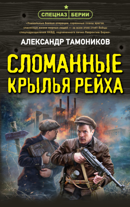 Скачать книгу Сломанные крылья рейха