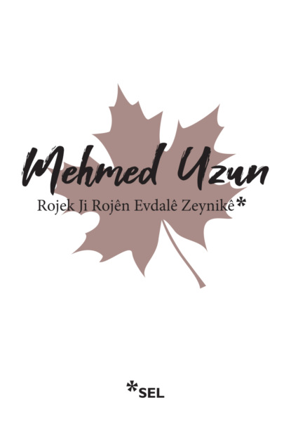 Скачать книгу Rojek Ji Rojên Evdalê Zeynikê