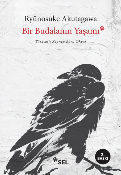 Скачать книгу Bir Budalanın Yaşamı