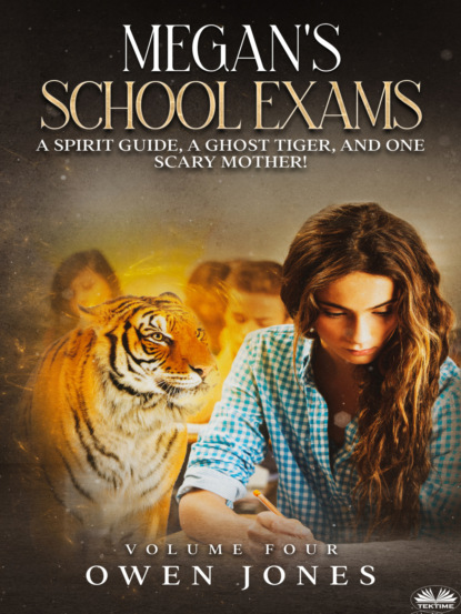 Скачать книгу Megan`s School Exams