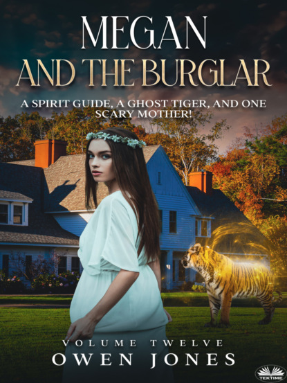 Скачать книгу Megan And The Burglar