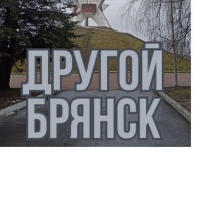 Скачать книгу Другой Брянск