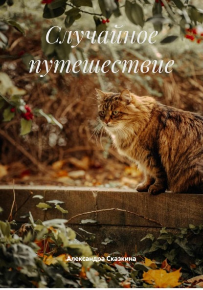 Скачать книгу Случайное путешествие