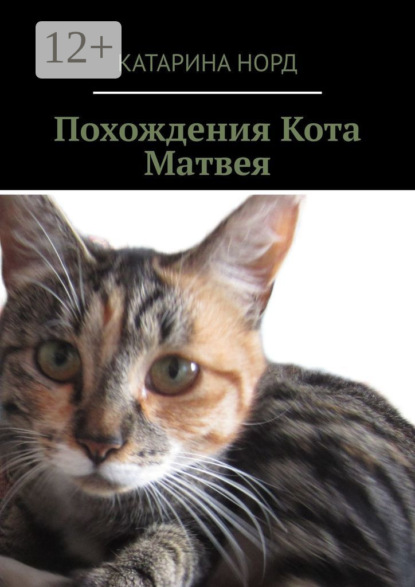 Похождения Кота Матвея