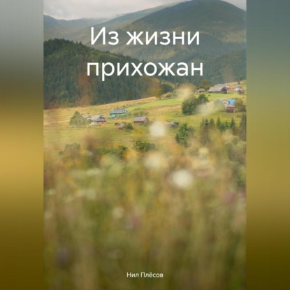 Скачать книгу Из жизни прихожан