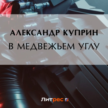 Скачать книгу В медвежьем углу