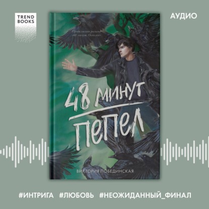 Скачать книгу 48 минут. Пепел