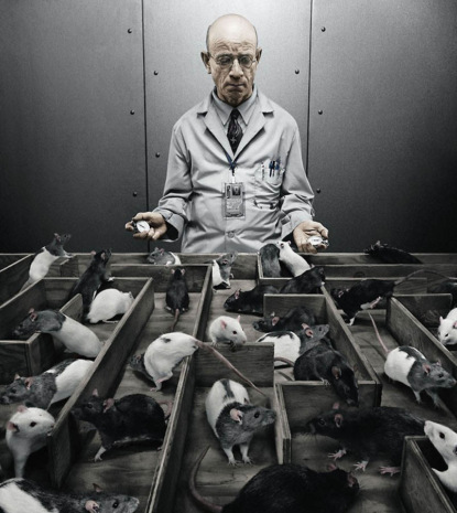 Скачать книгу Психология. Лженаука или  наука?