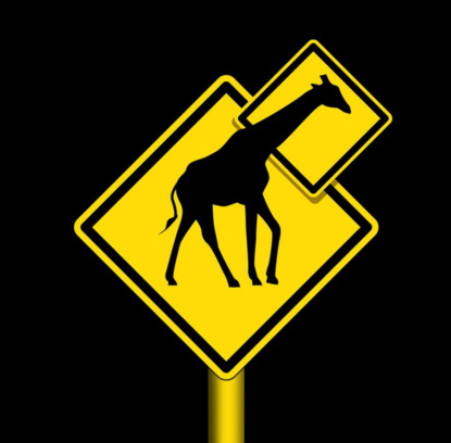 Скачать книгу Колоть или не колоть, вот в чем вопрос? Диабет лечится!