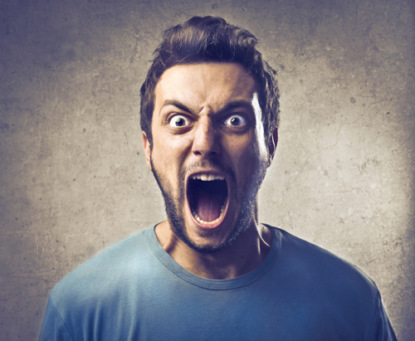 Скачать книгу ГНЕВ!