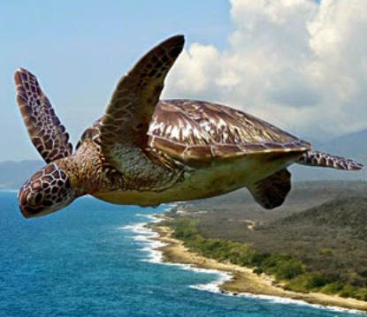 Скачать книгу Ближе к цели.