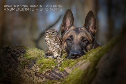 Скачать книгу Семейный подряд или как можно работать  вместе и не ссориться.