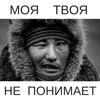 Скачать книгу Моя Твоя  не понимает!