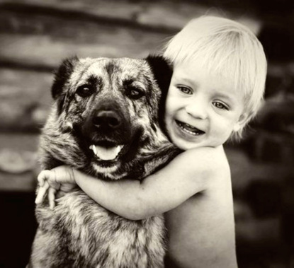 Скачать книгу Про искренность - беседы с доктором Данилиным