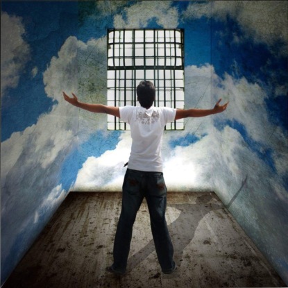 Скачать книгу Свобода внутри меня!