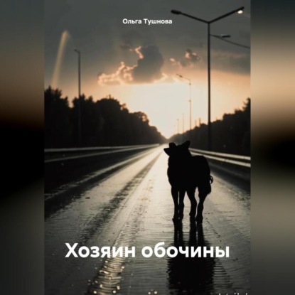 Скачать книгу Хозяин обочины