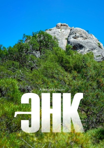 Скачать книгу Энк